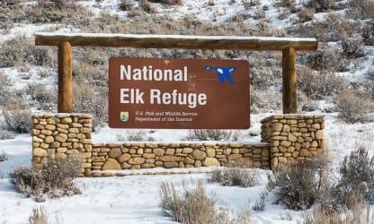 National Elk Refuge supplemental elk feeding