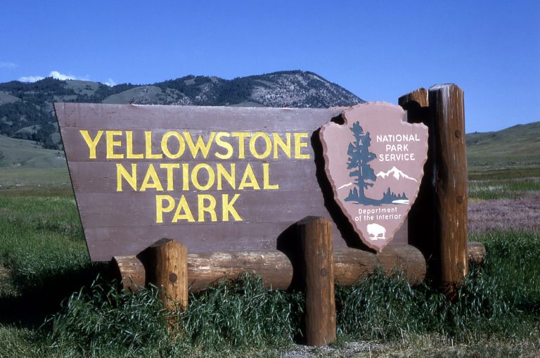 New Fire in Yellowstone