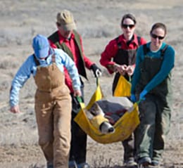 Mark Gocke, Wyoming Game and Fish Department