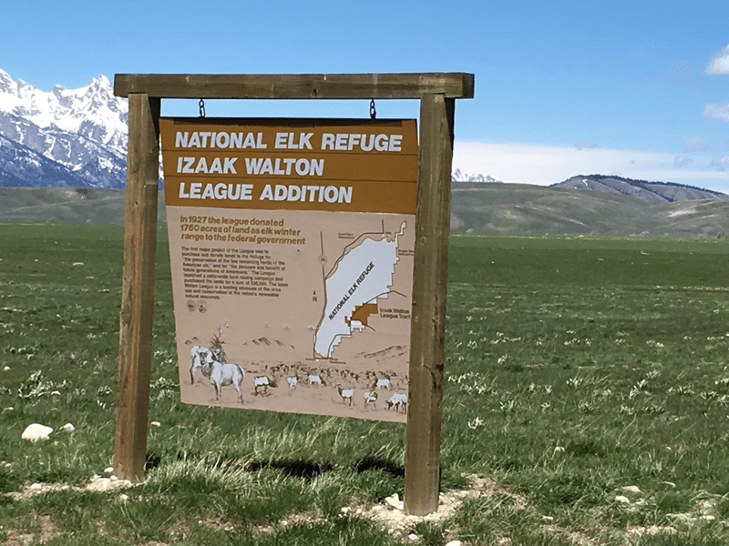 National Elk Refuge February 2026 Biological Update: Mild Winter Persists in Jackson Hole