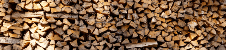 Firewood permits