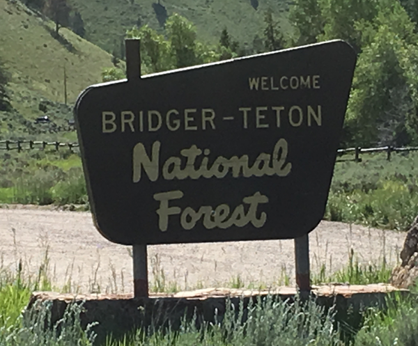 Bridger-Teton National Forest