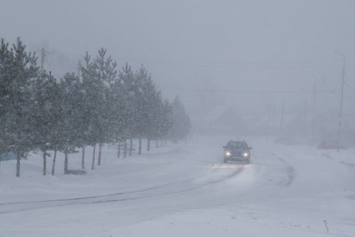 Winter Storm