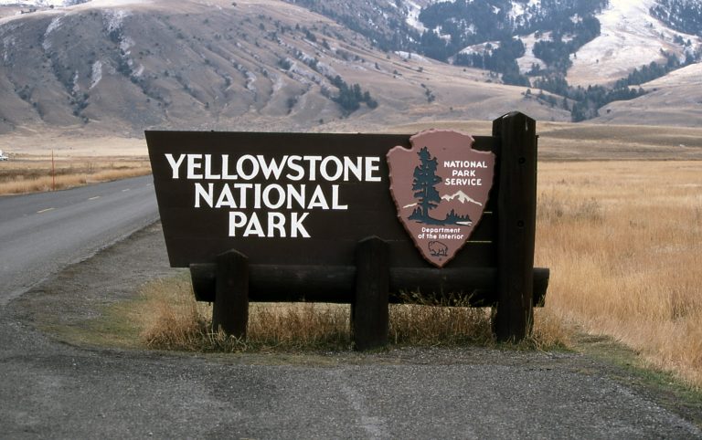 Yellowstone