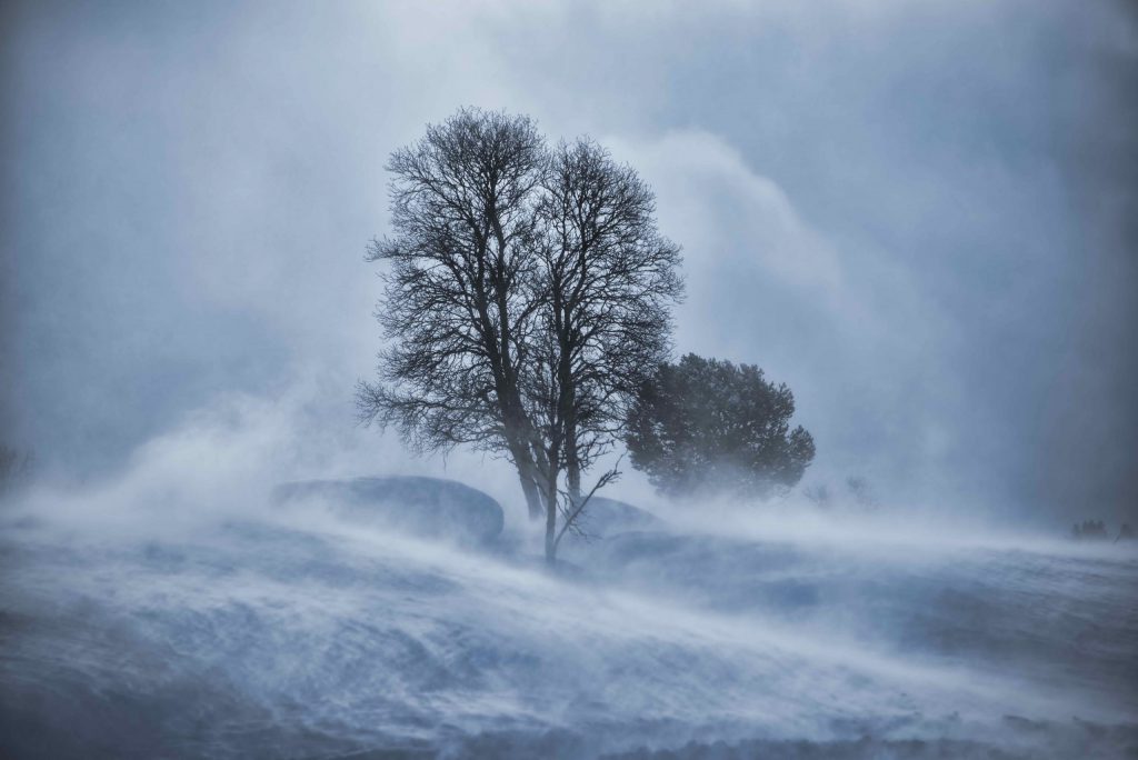 Storm Watch for Tetons