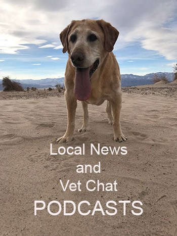 Listen to News on demand!!
