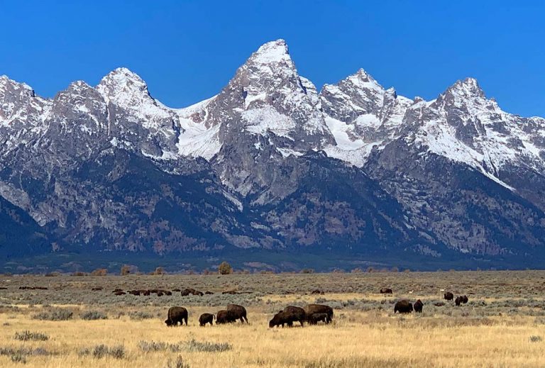 Yellowstone Grand Teton Parks Closed