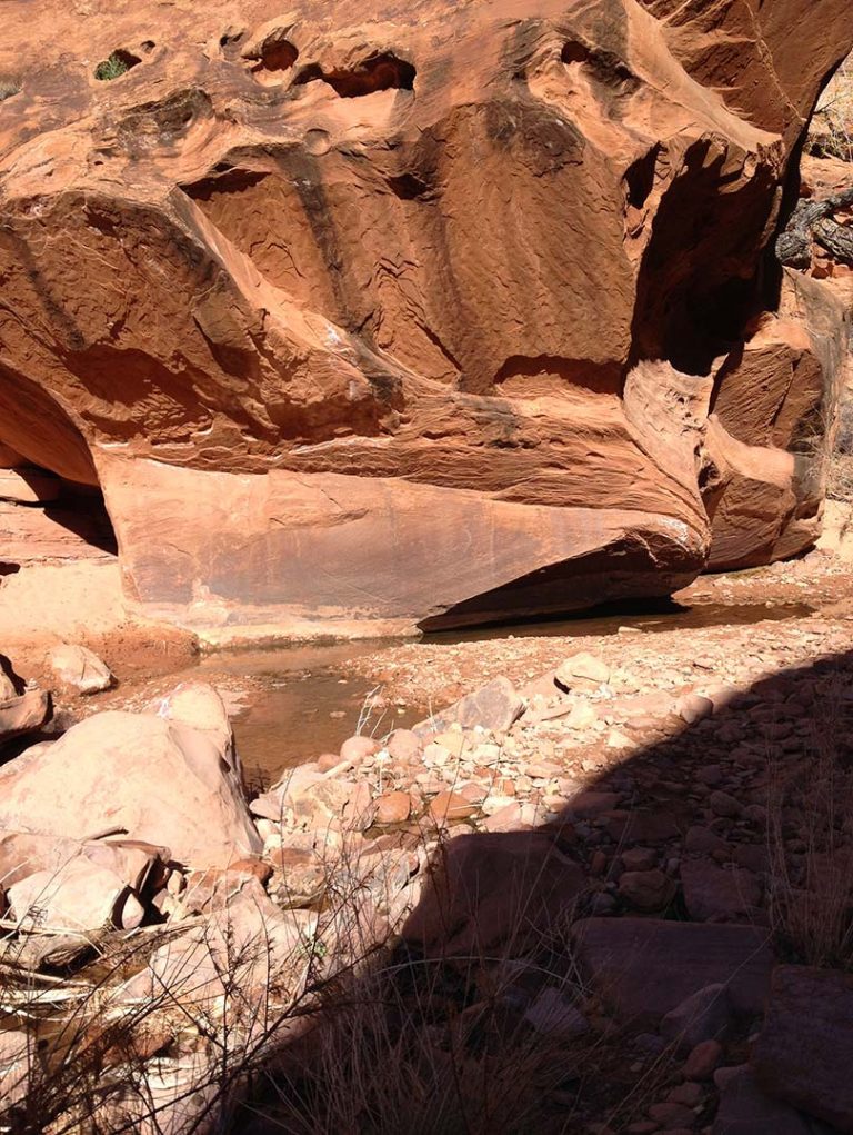 Travel Restriction Urged For Moab