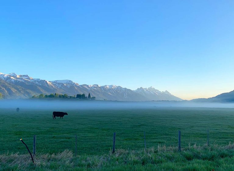 Restrictions Will Ease Friday in Teton County