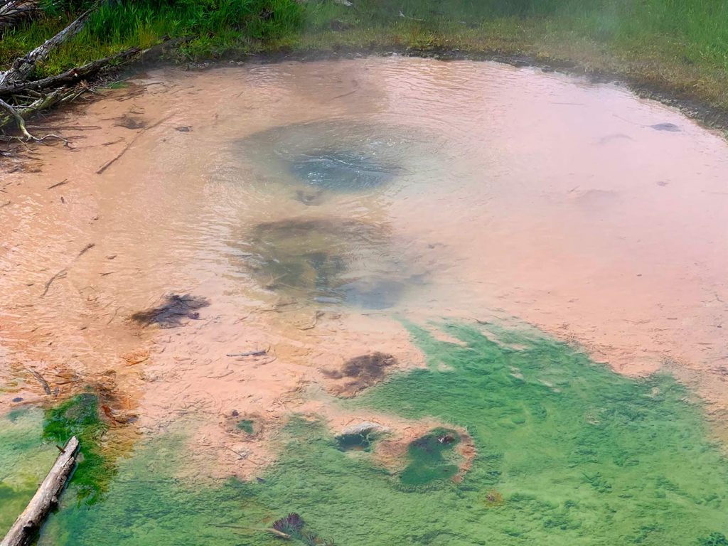 Thermal feature in Yellowstone