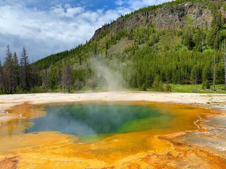 Yellowstone Park Employee COVID