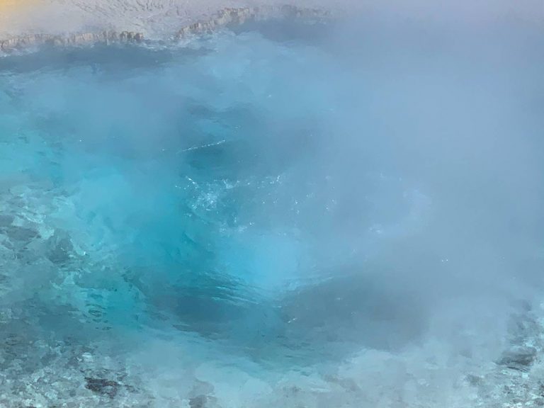 Partial remains of human foot