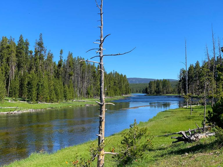 Pacific Creek Landing Temporary Closing
