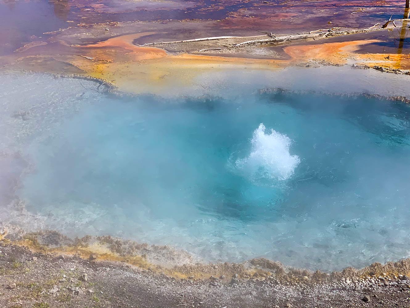 Yellowstone tourists top record | Jackson Hole Radio