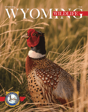 Wyoming Wildlife Magazine Wins Awards