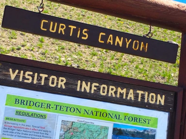 Curtis Canyon Campground