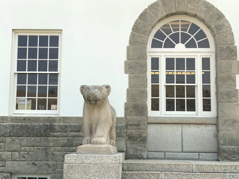 Crimes in Yellowstone