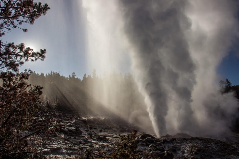 Yellowstone geyser