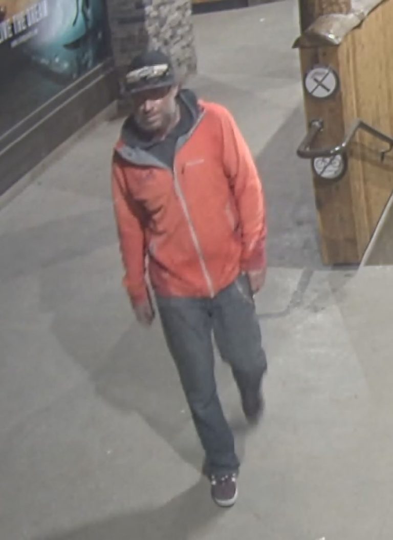 Jackson Hole elk vandal identified