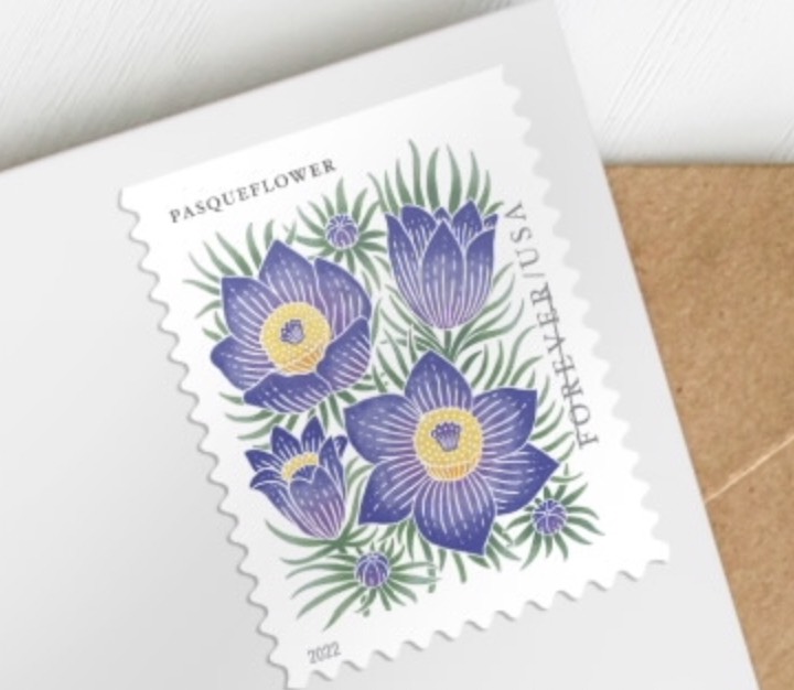 Jackson Wyoming Post Office