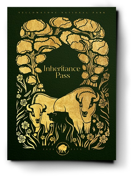Yellowstone Forever