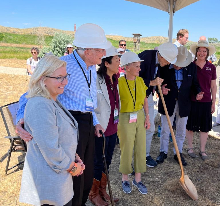 Mineta-Simpson Institute