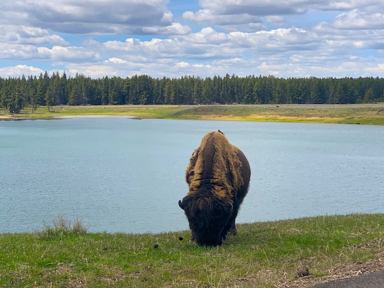 Yellowstone Lake