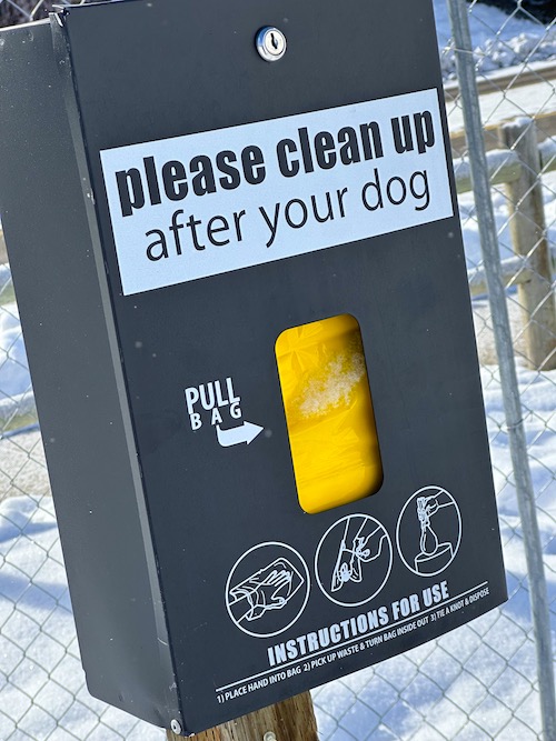 dog park
