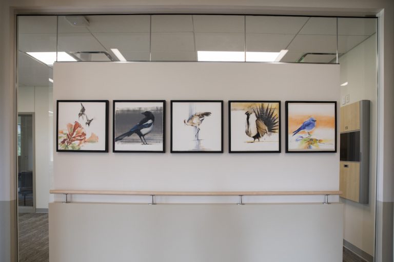 St. John's Health Art healing with artist's help