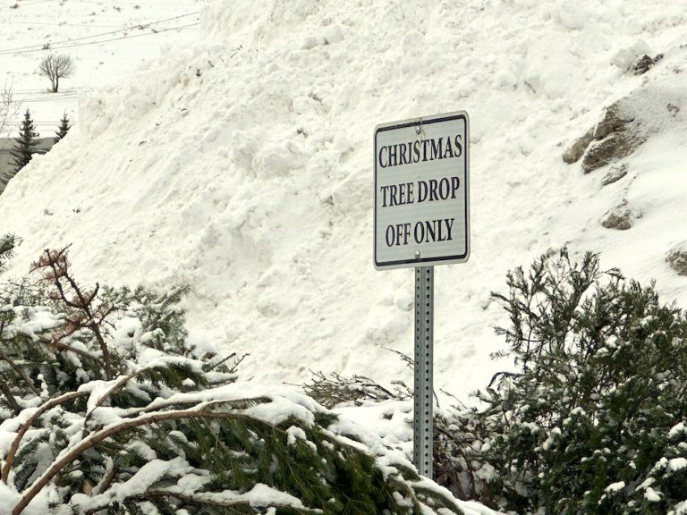 Christmas tree drop-off