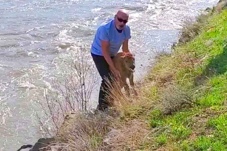 Photo courtesy / Hellen Jack