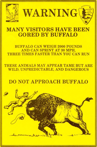 Yellowstone National Park Bison Warning