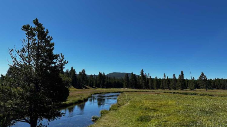 Gibbon River Yellowstone