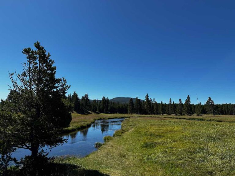 Gibbon River Yellowstone