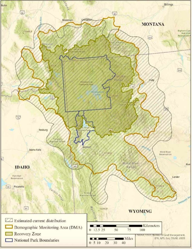 Grizzly Bear Recovery Zone