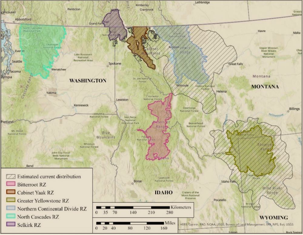 Grizzly Bear Recovery Zones