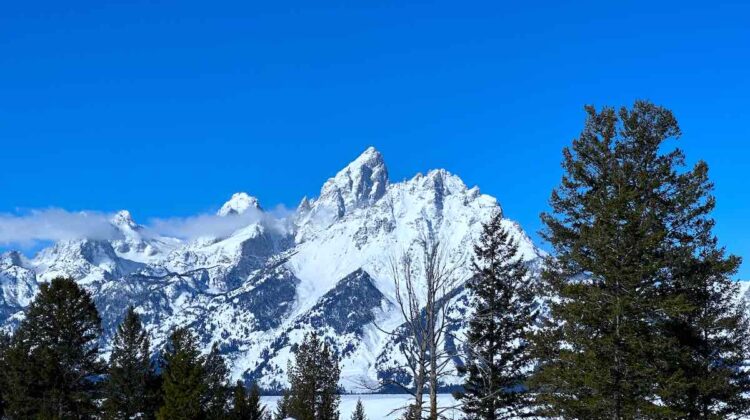 Jackson Hole Nominated for USA Today 10Best Awards 2025: Vote Now for Best Ski Town and Snowboarding Spot