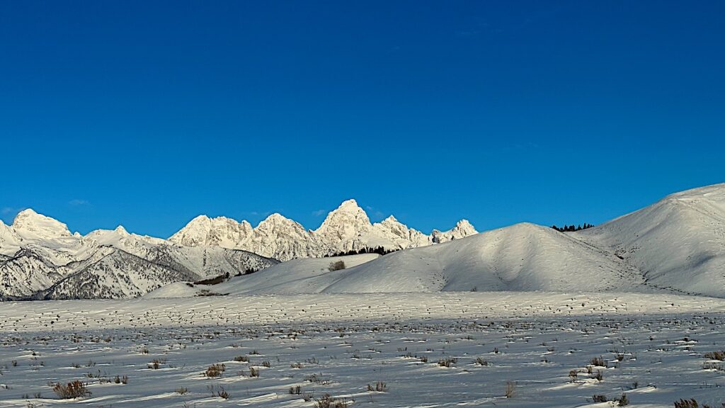 Kelly Wyoming