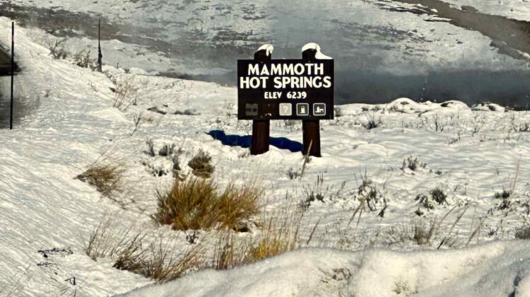 Mammoth Hot Springs Yellowstone