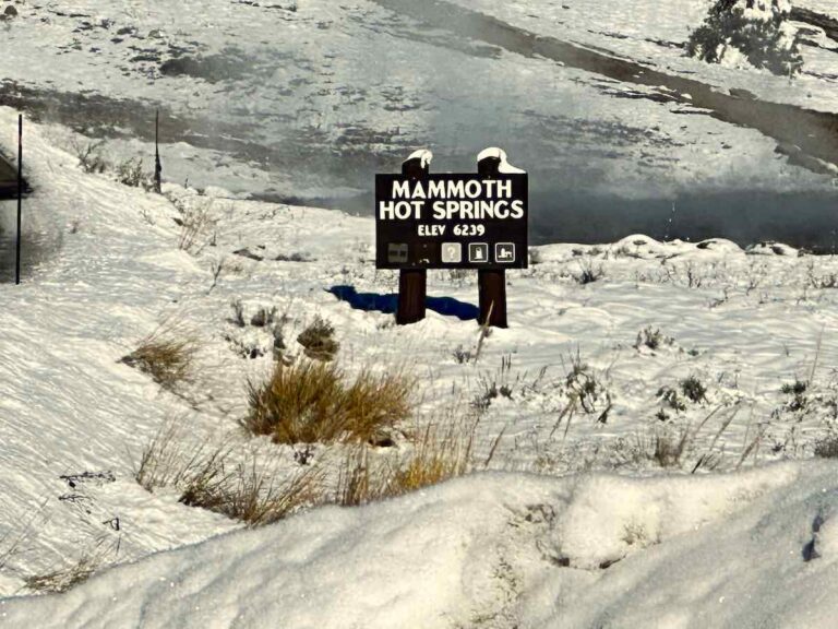 Mammoth Hot Springs Yellowstone