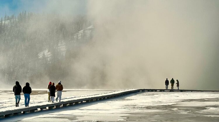 Yellowstone Tourists