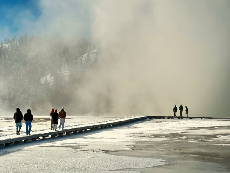 Yellowstone Tourists