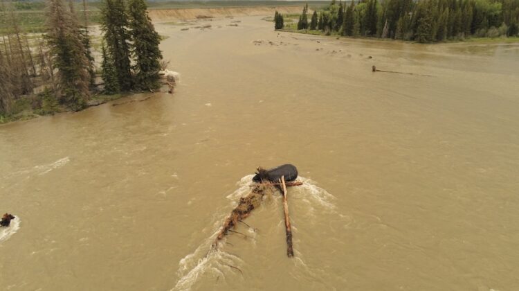 Snake River Rafters