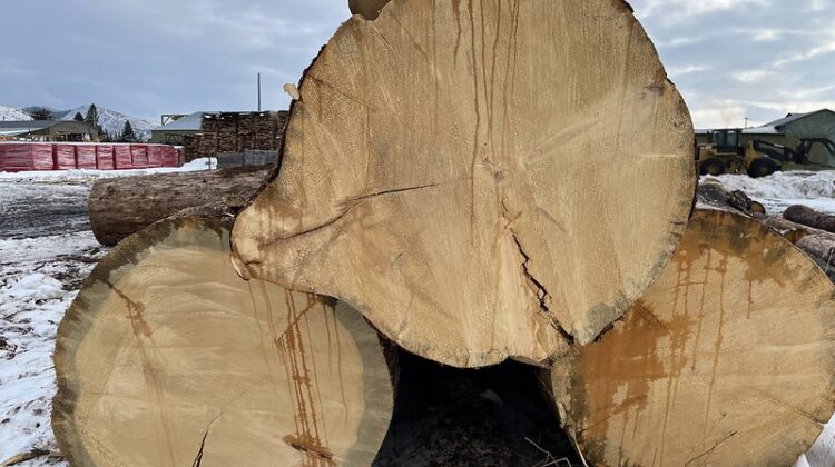 Wood Products USDA