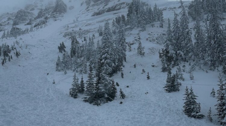 Avalanche Fatality Reported on Togwotee Pass