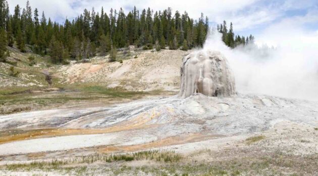 Lone-Star-Geyser-NPS-Jacob-W.-Frank