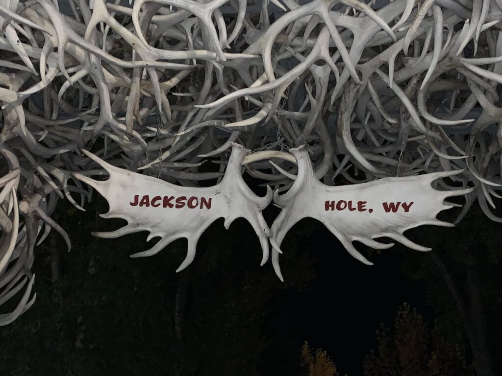 Jackson Hole Shoppers